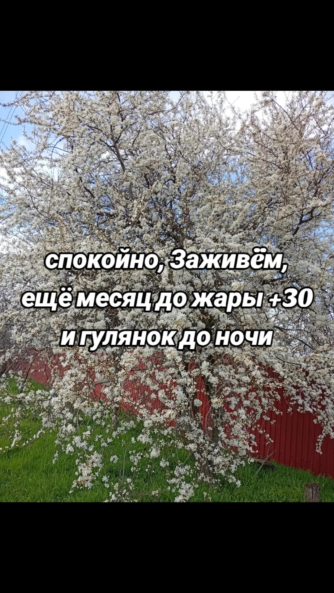 @🍋фрешичка🍋