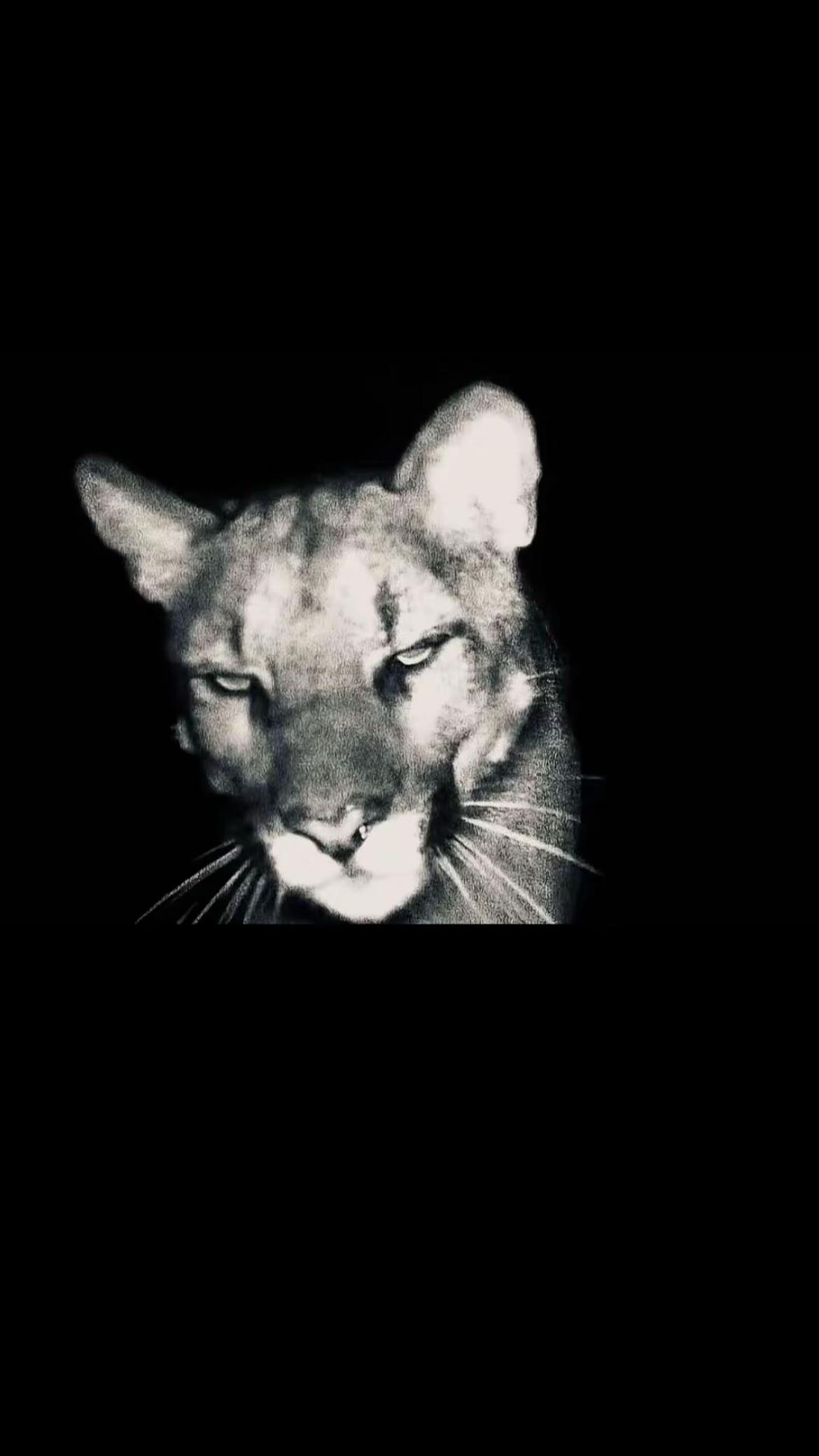 @ابو داحم||𝐀𝐁𝐎𝐔𝐃🪐