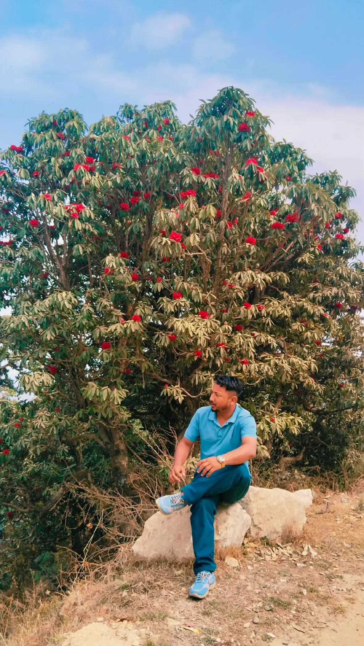 @Kriss Kshetri