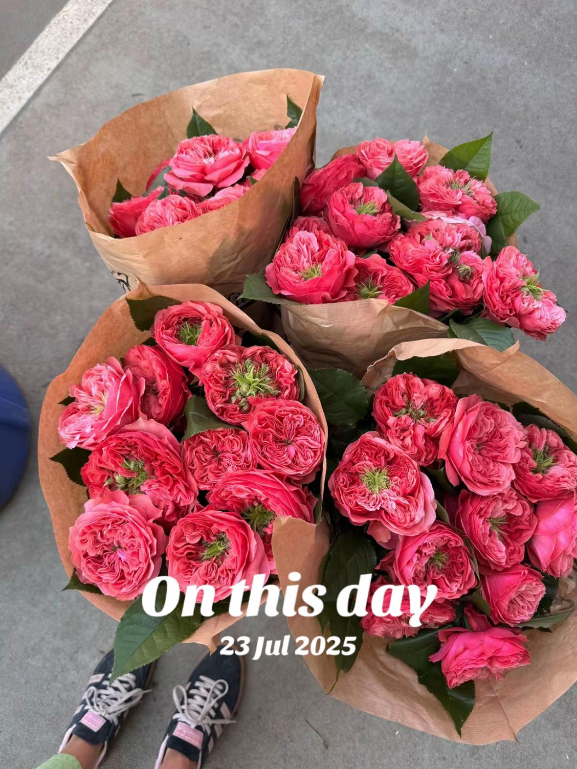 @Lily Cora Flowers 🌸