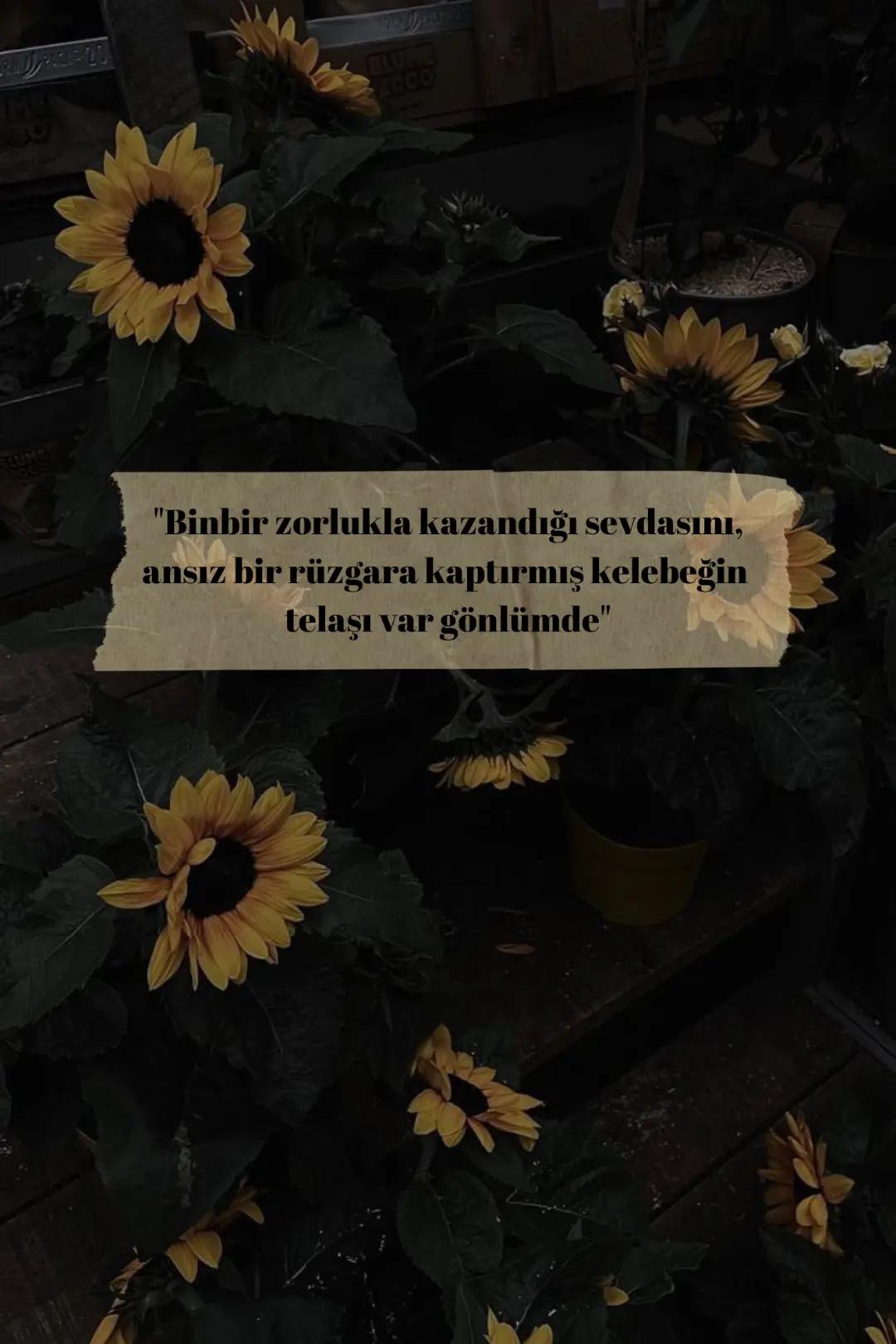 @Tuğba D.