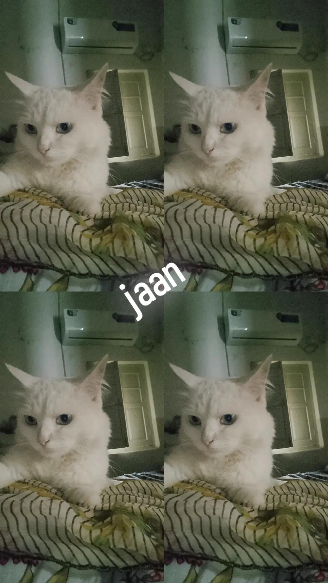 @𝓜𝔂𝓼𝓽𝓮𝓻𝓲𝓸𝓾𝓼 𝓰𝓲𝓻𝓵,