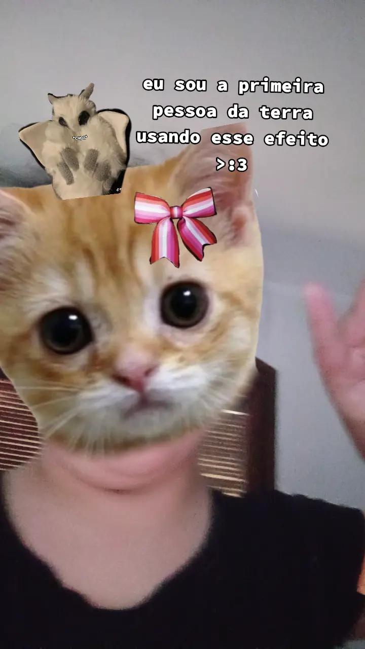 @cookie