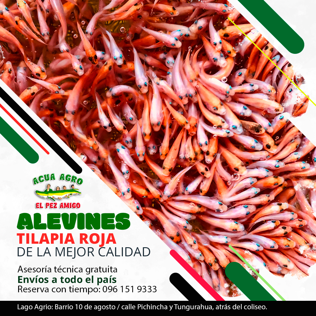 @acua agro