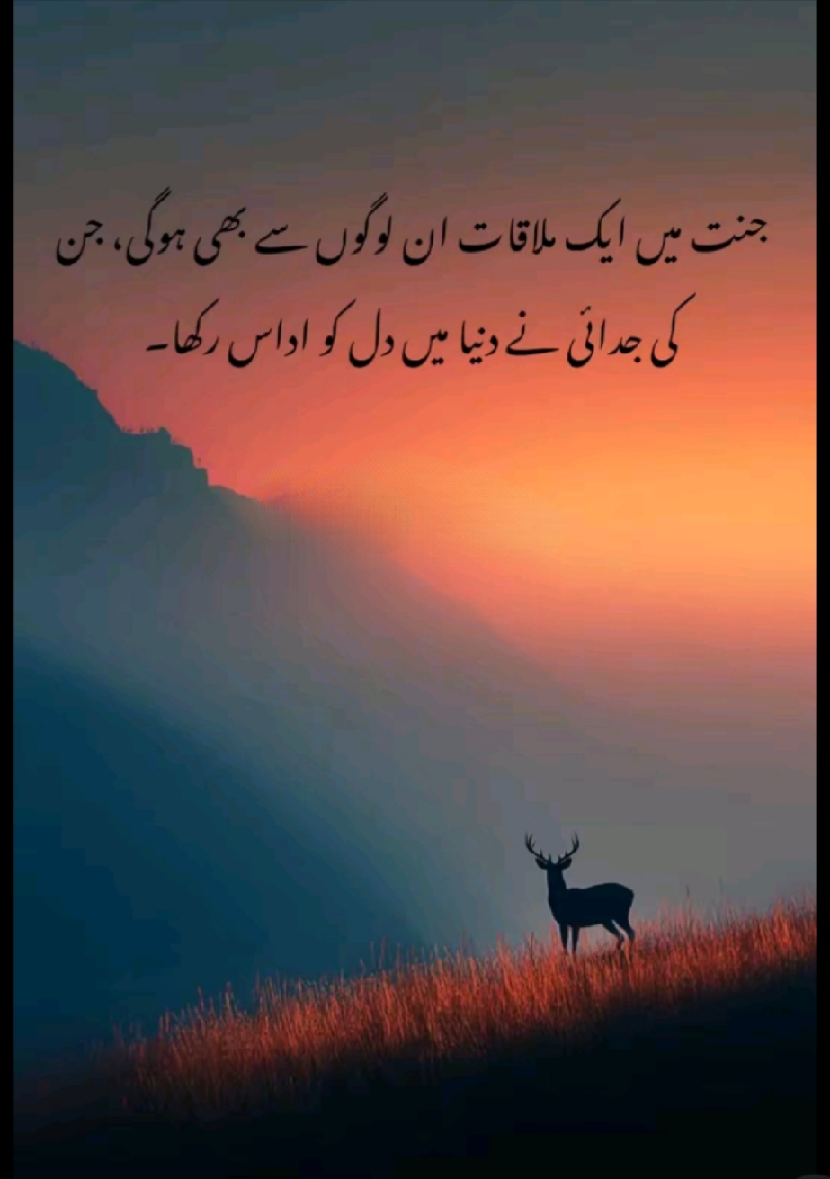 @Adnan khan