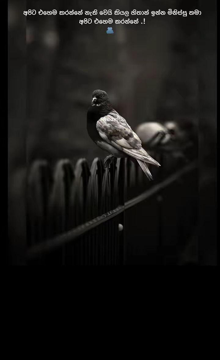 @chandru__xX
