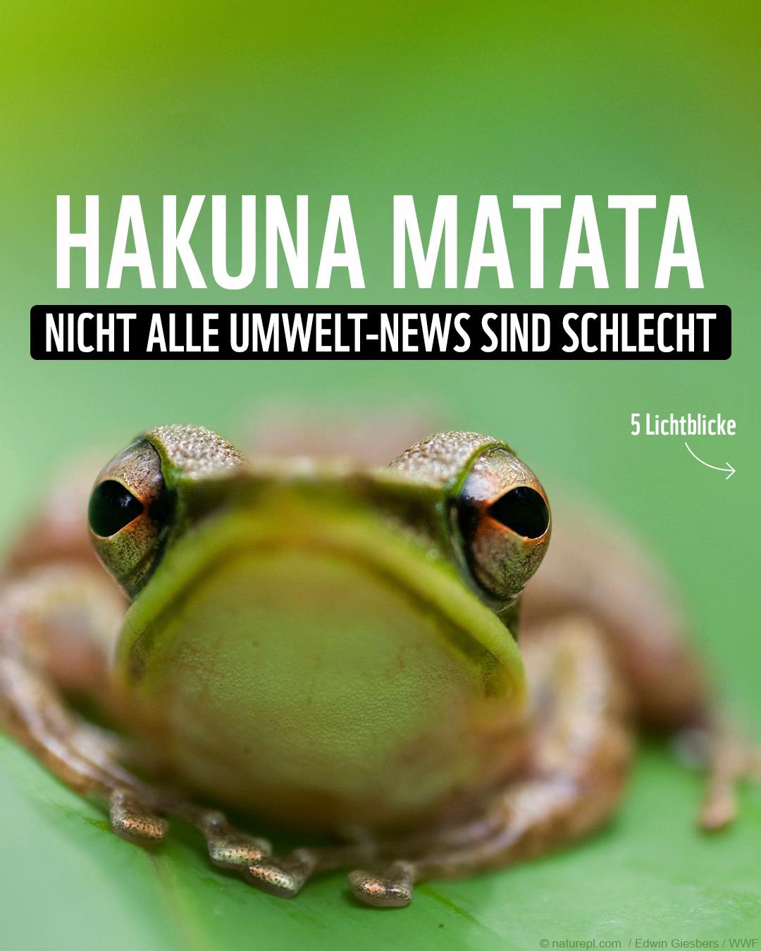 @WWF Schweiz