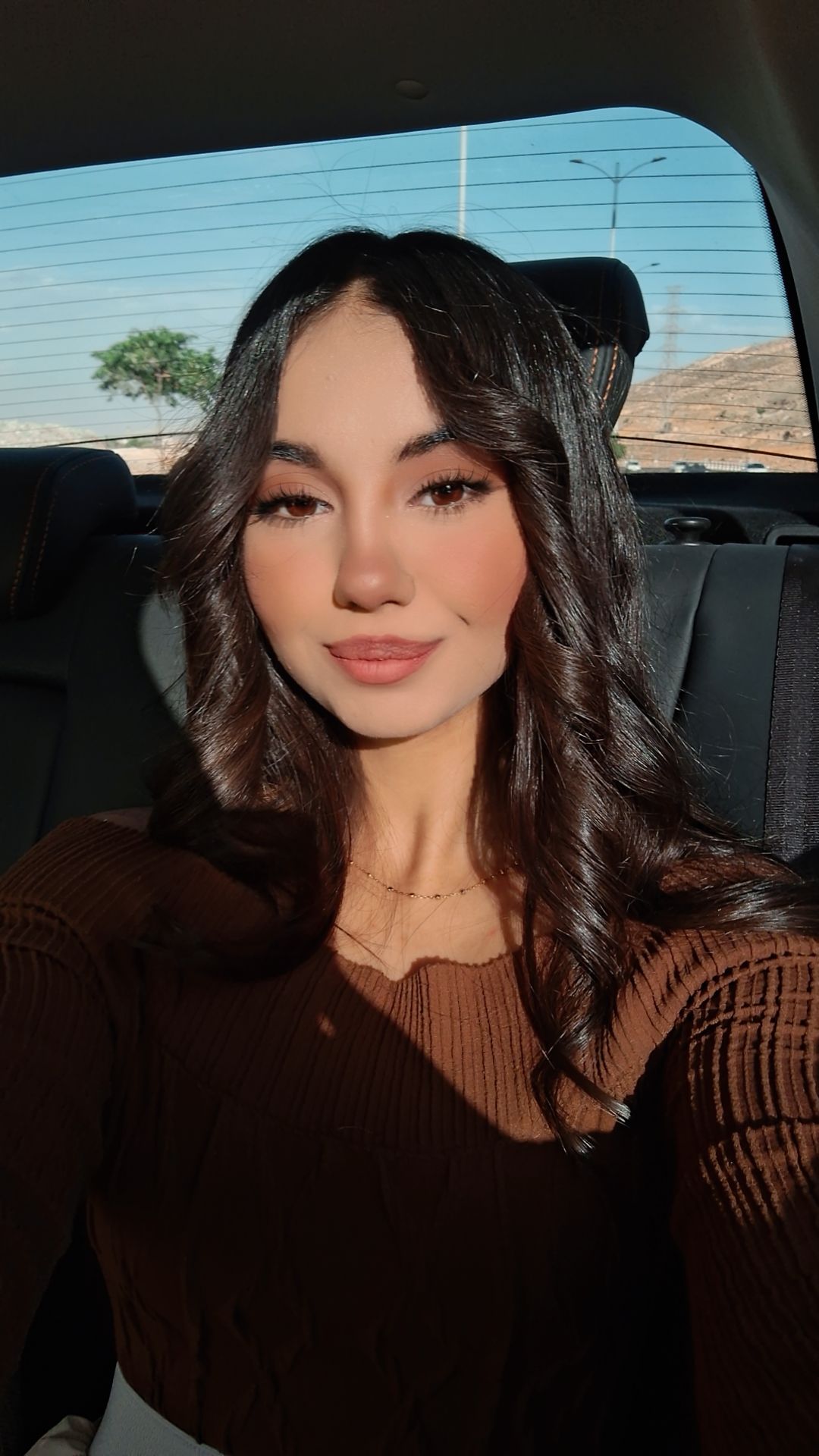 @Ailin Nasihatkon