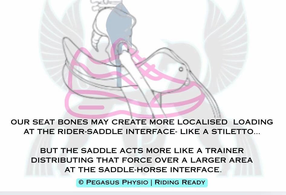 @Pegasus Physio