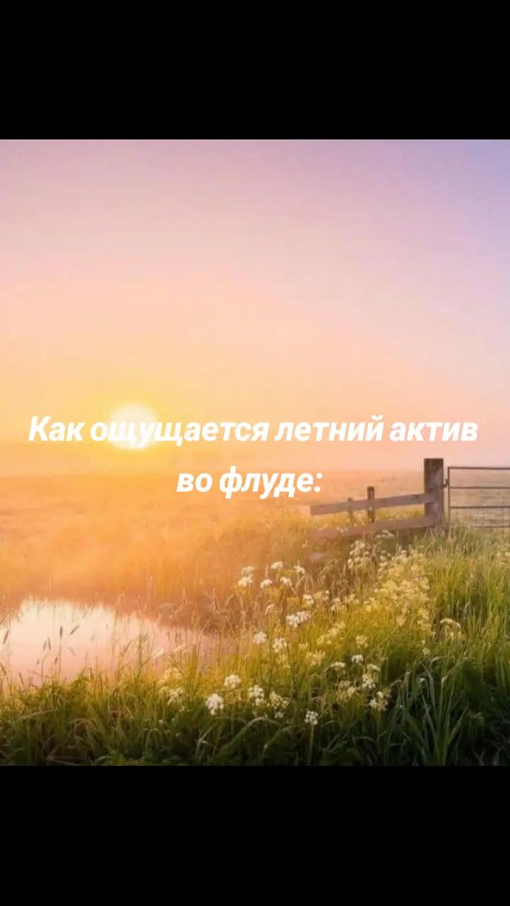 @mk.tea