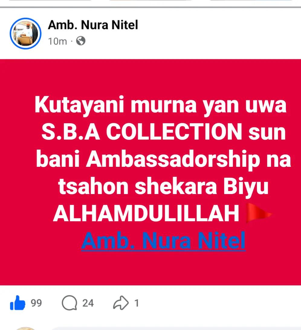 @Amb. Nura_Nitel