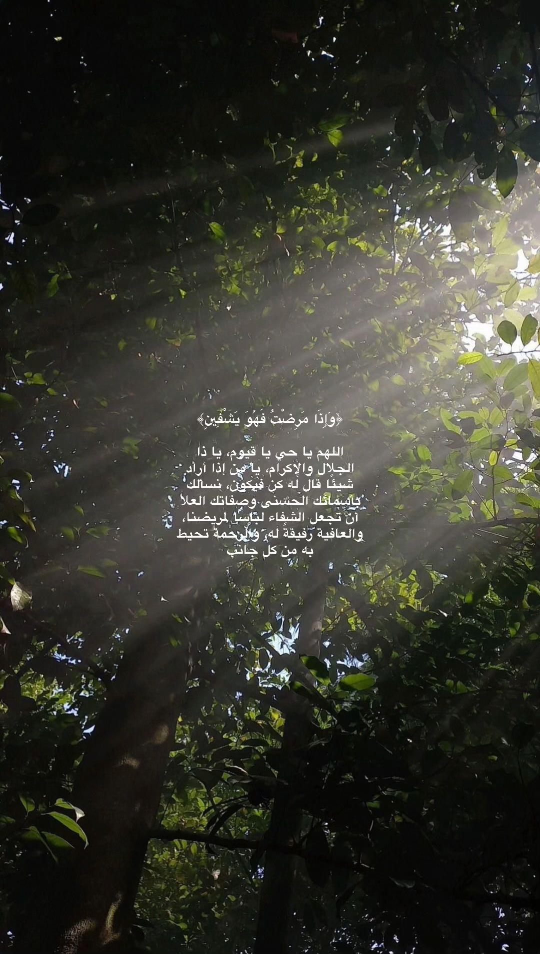 @Wedad