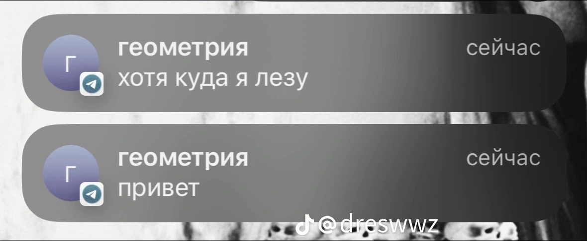 @шошка04