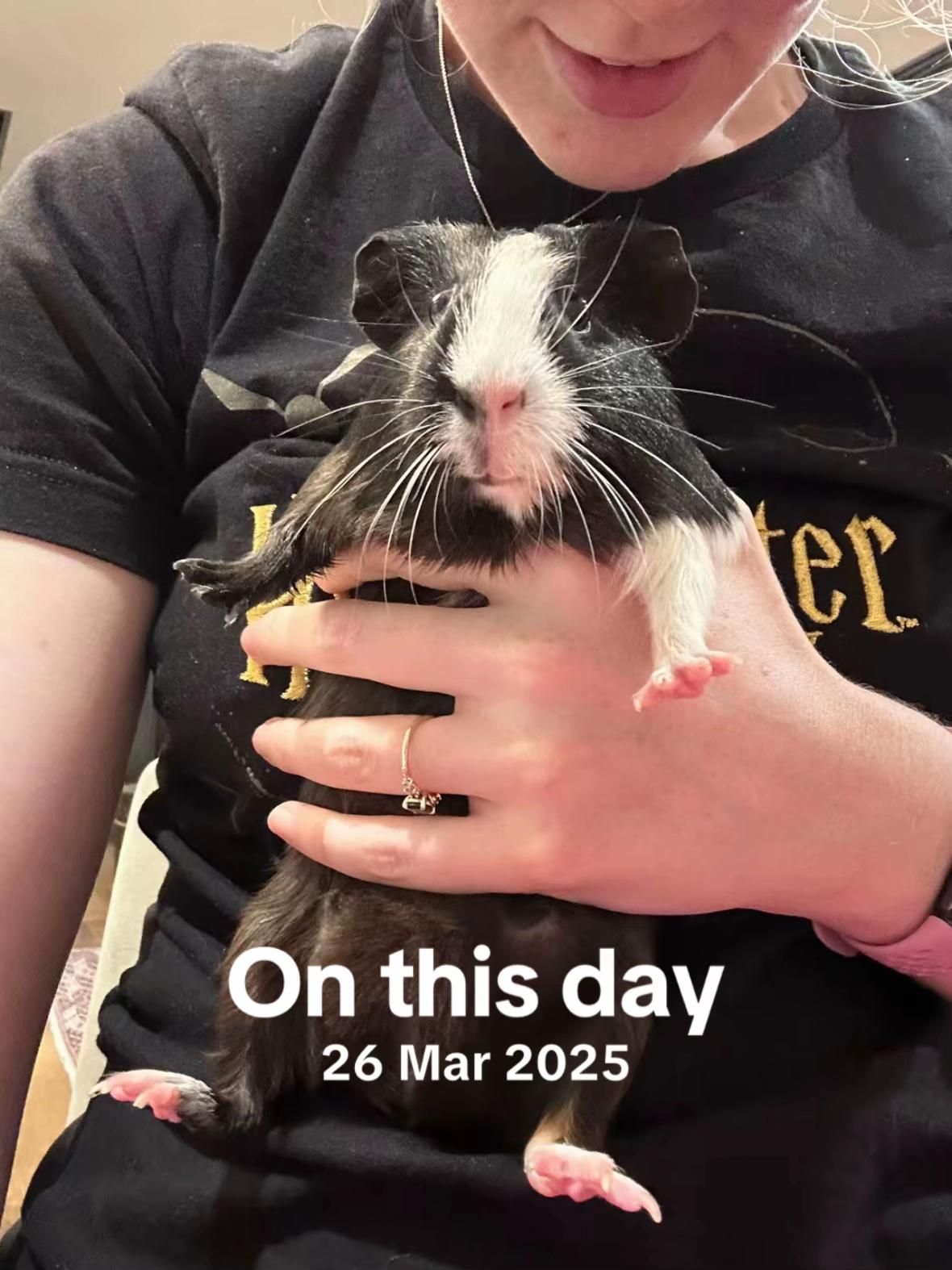@MimisPiggies25