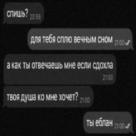 @₍^. .^₎⟆