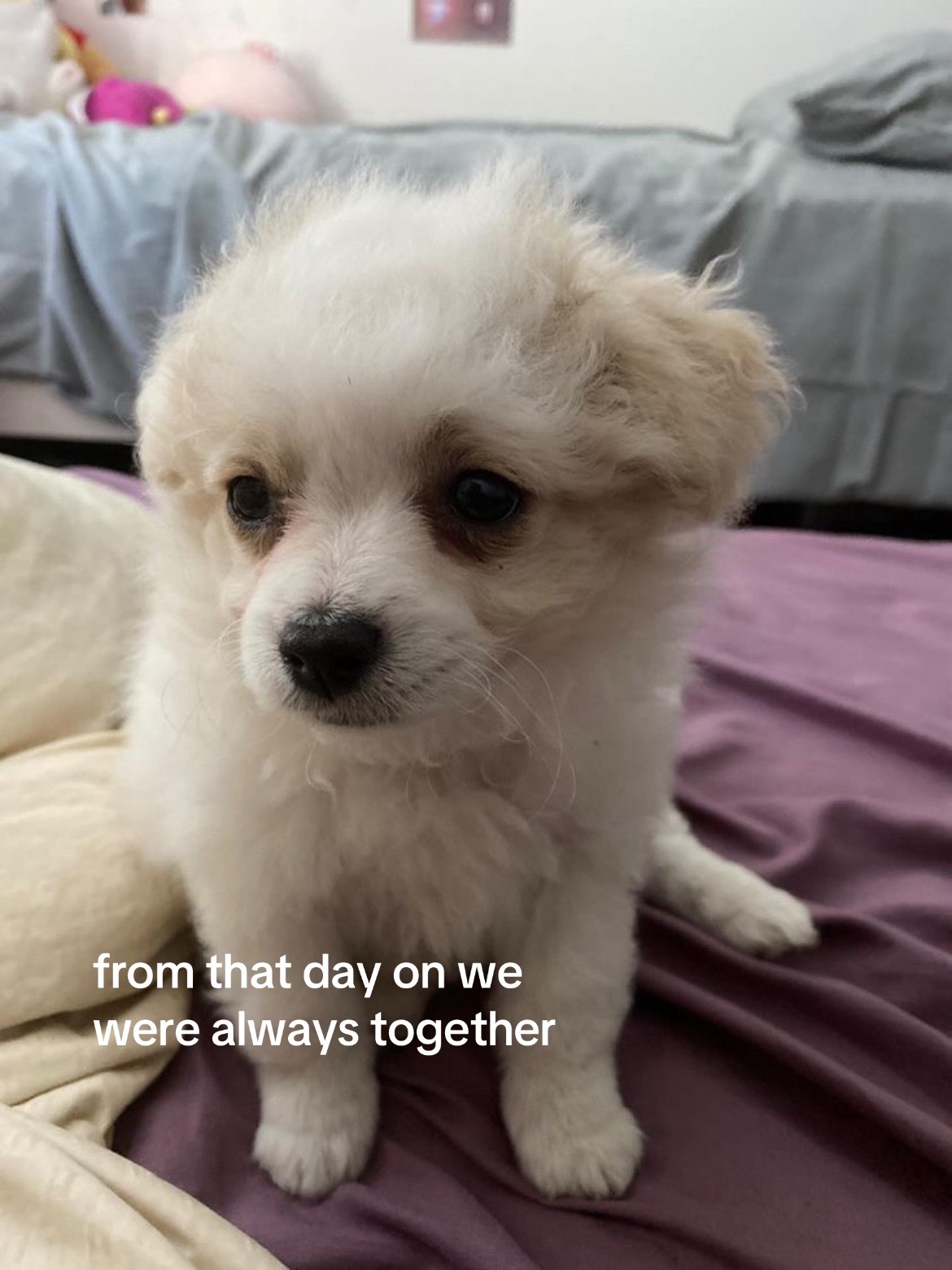 @yurrinator