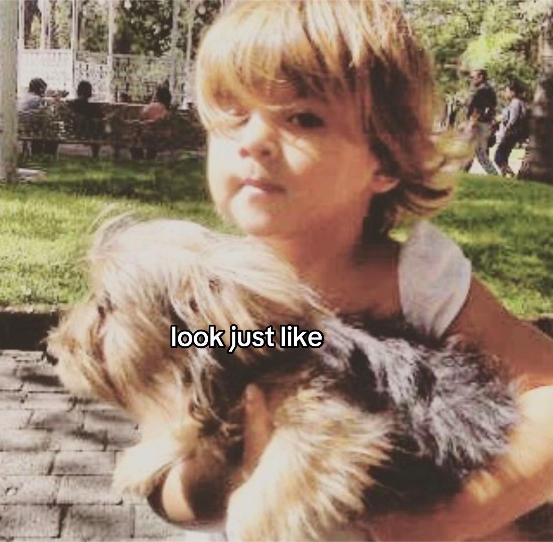 @vale