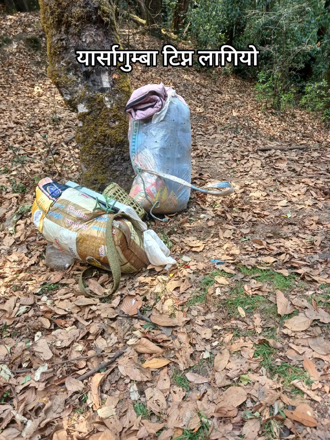 @Lakpa Sherpa
