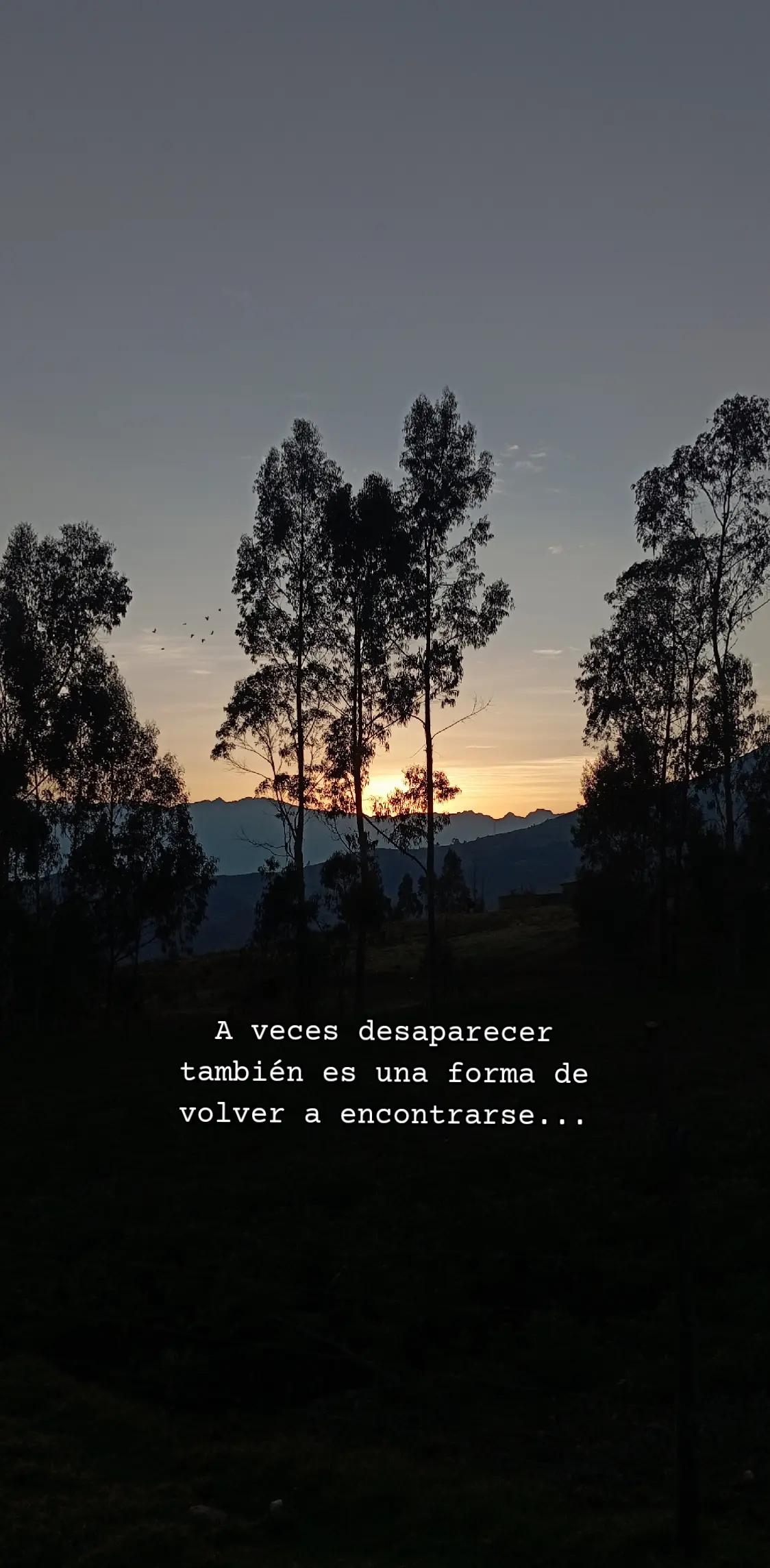 @Chubi