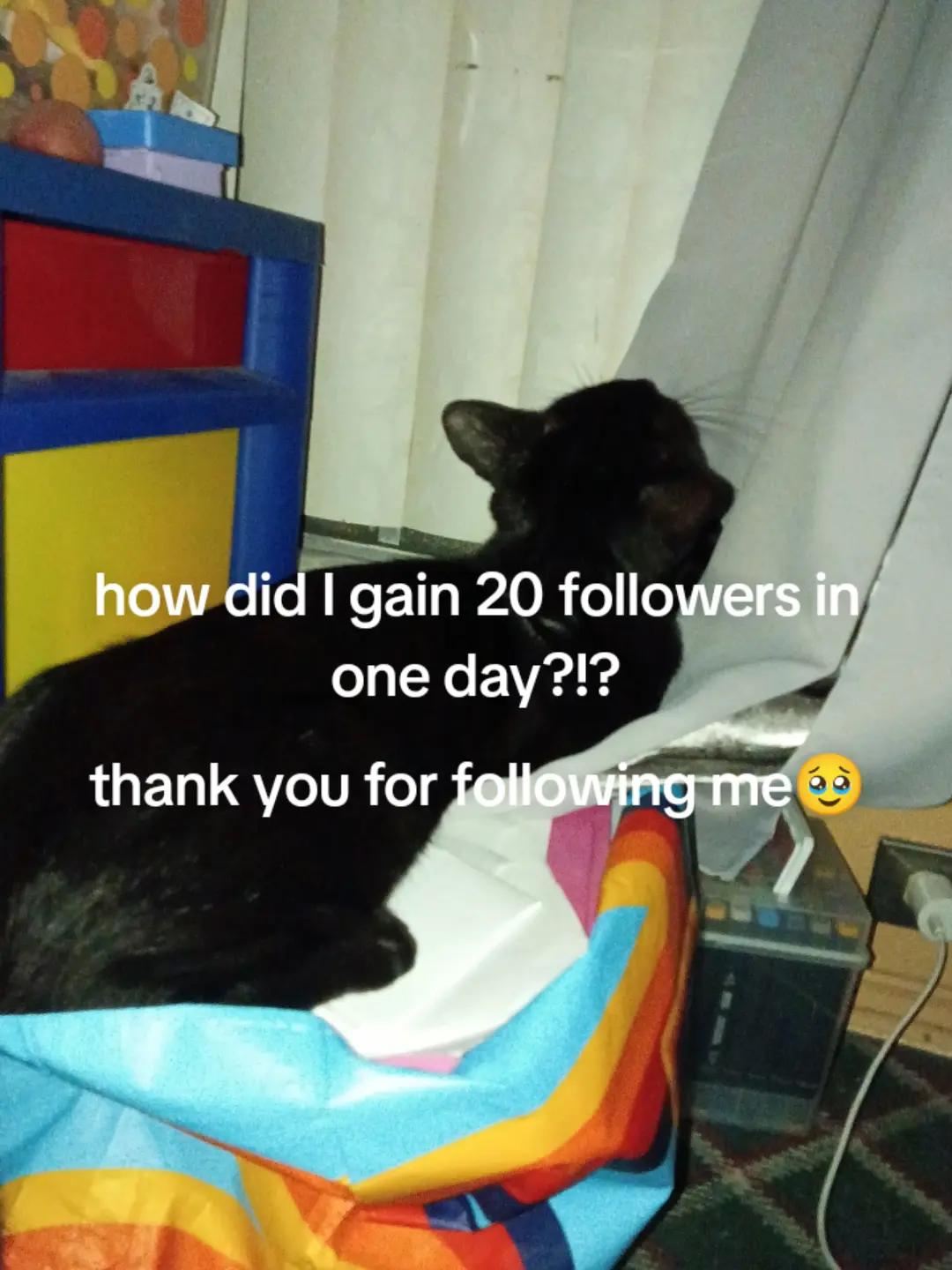 @Thecoolpurpleguy