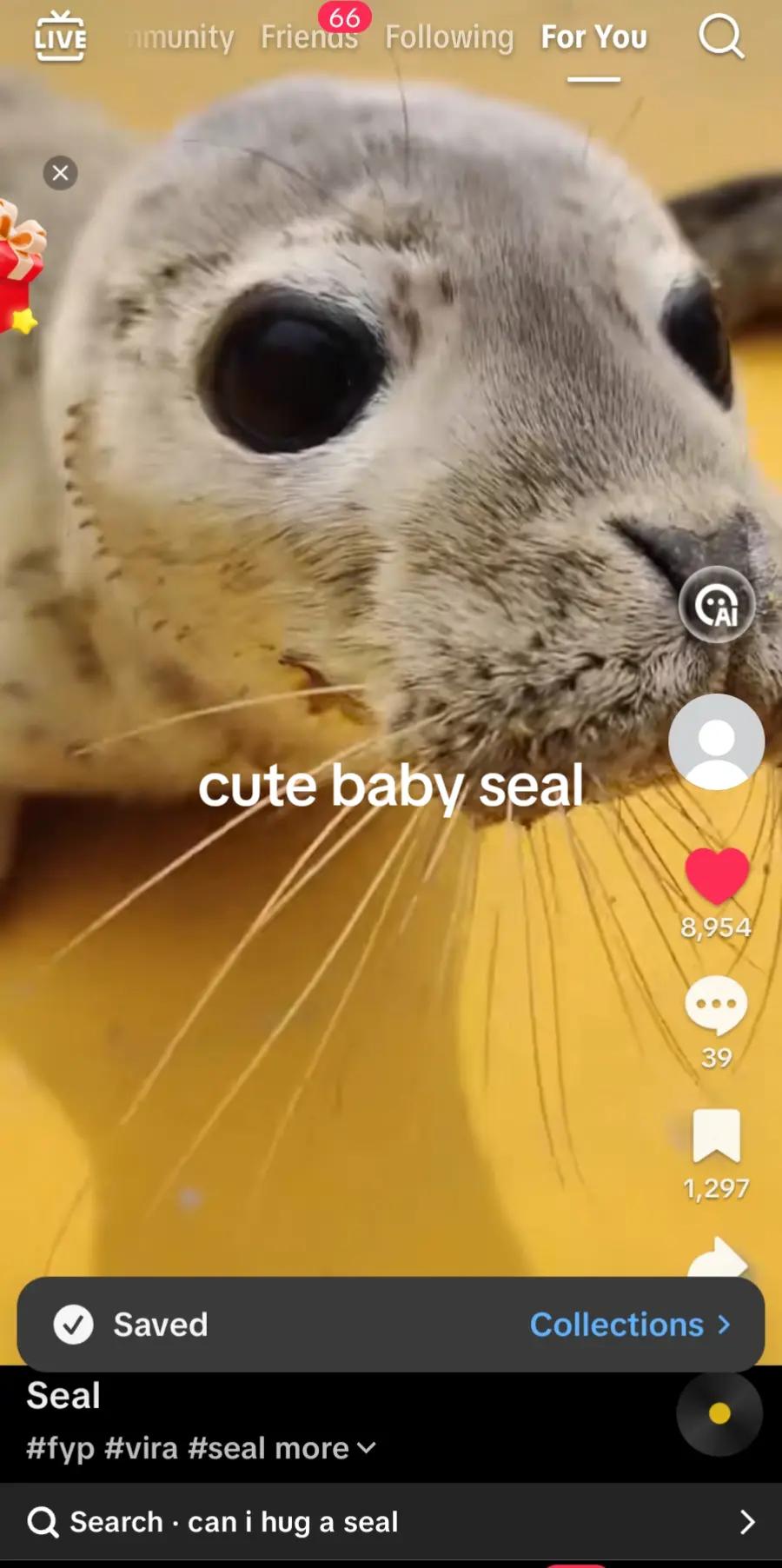@sealotter_folk