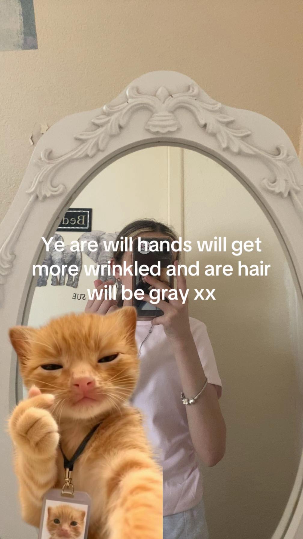 @skyeharrison84