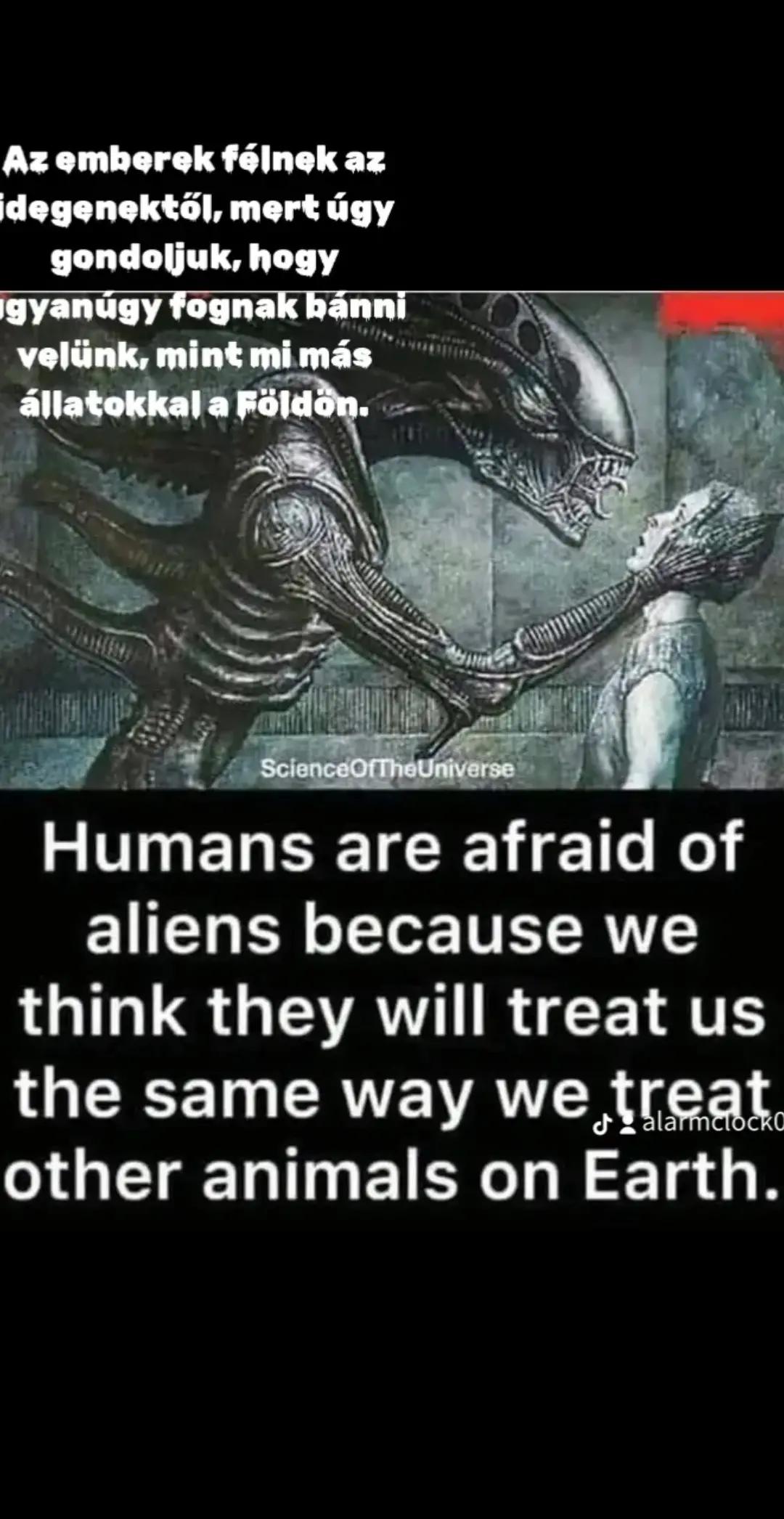 @Awakeningtiger Ébredőtigris