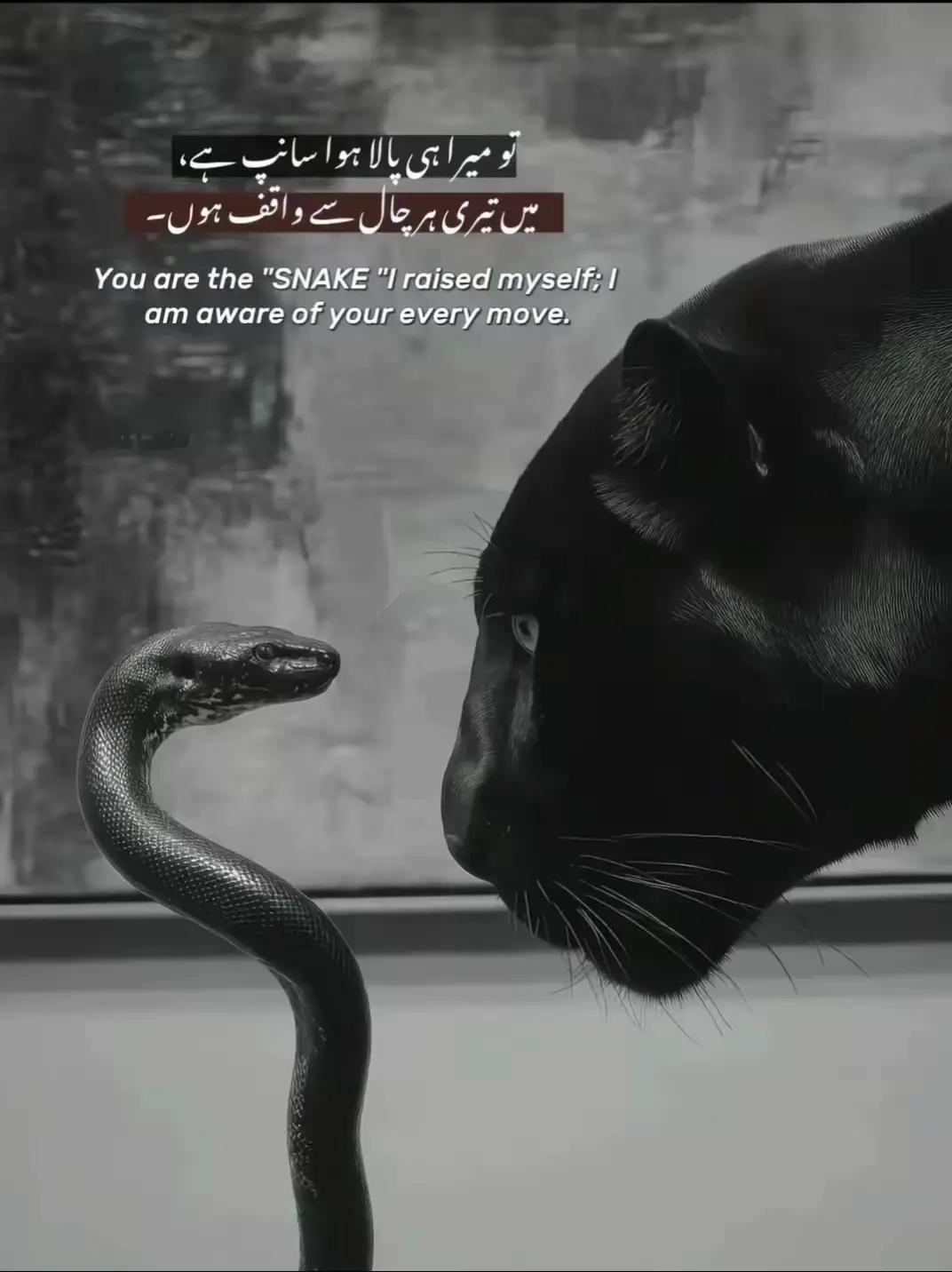 @پنڈا آلے🌱