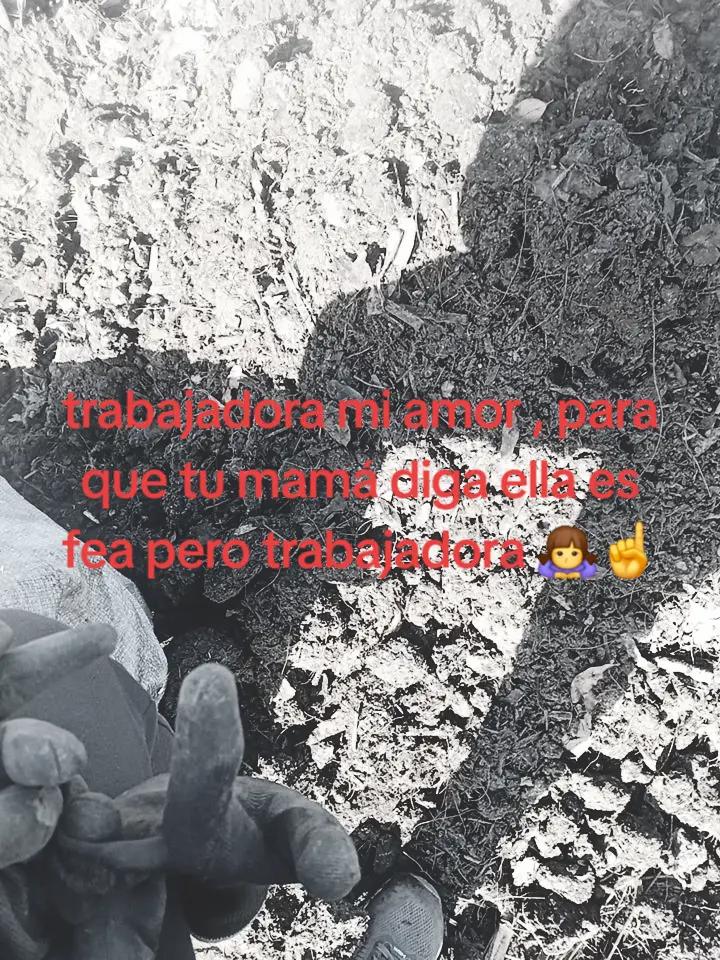 @Anyilopez🗣🎭