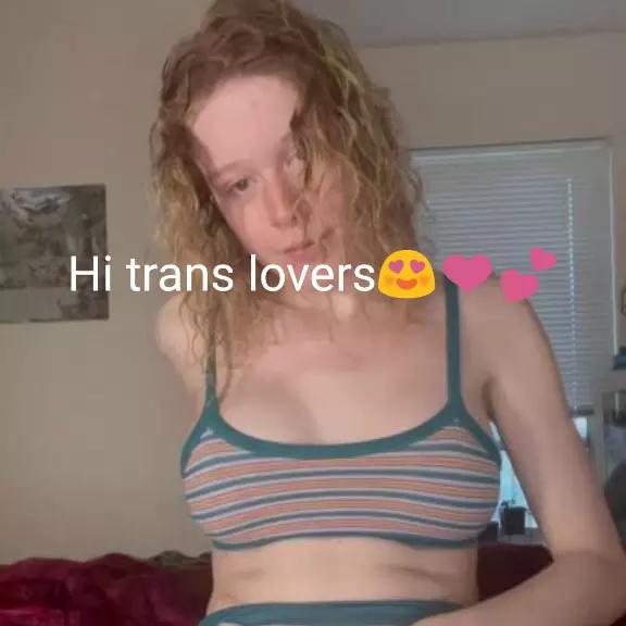@Trans carolina