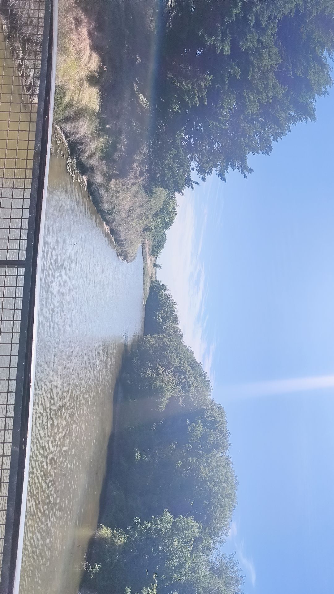 @Râ 🔆🦅♀️