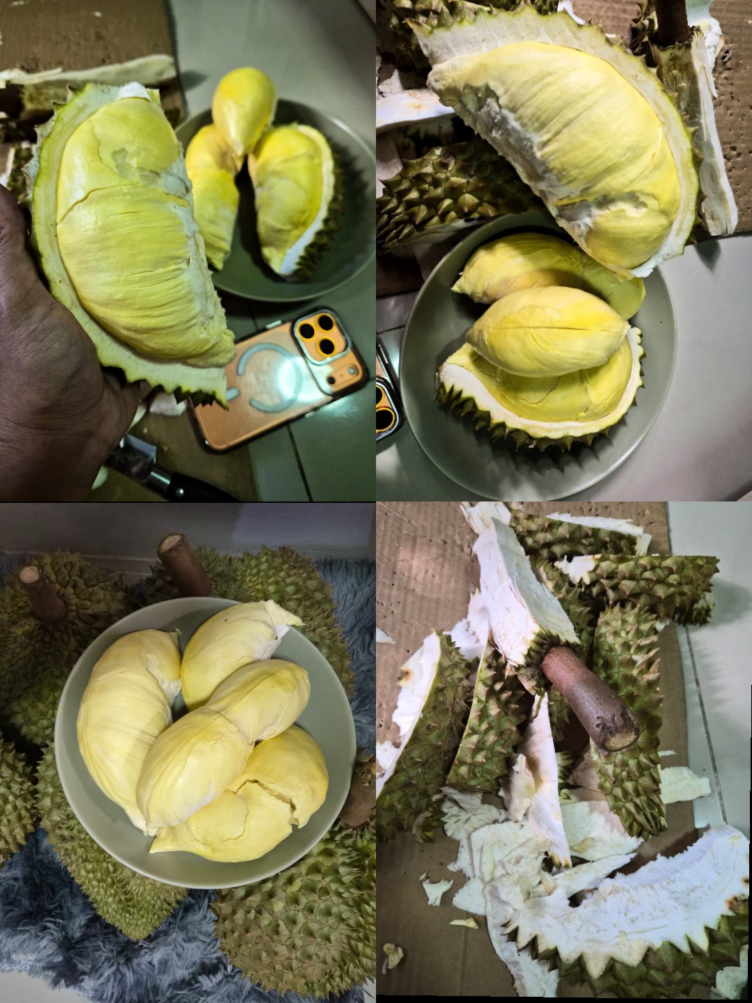@พ่อค้าหมีหมี
