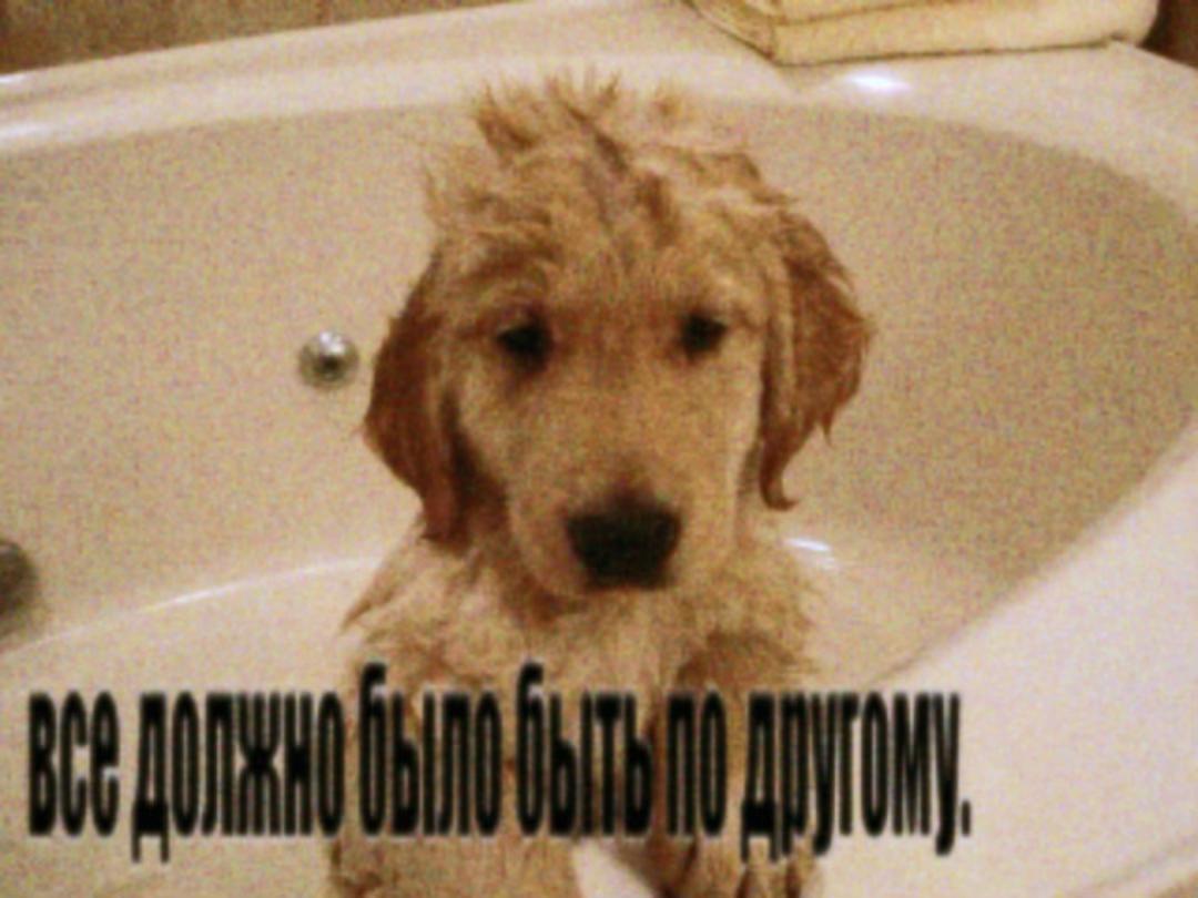@соня вишня