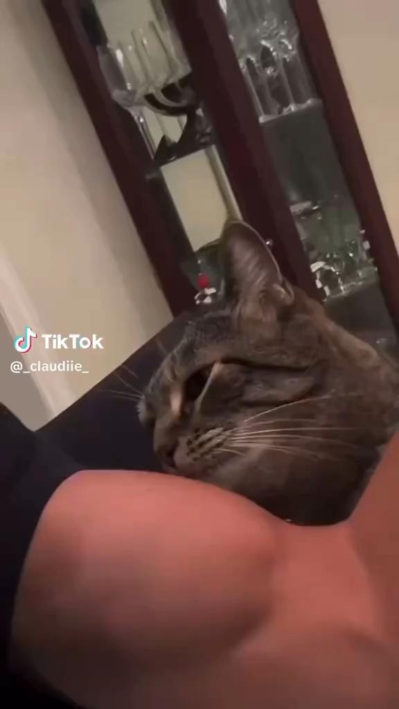 @spamclots