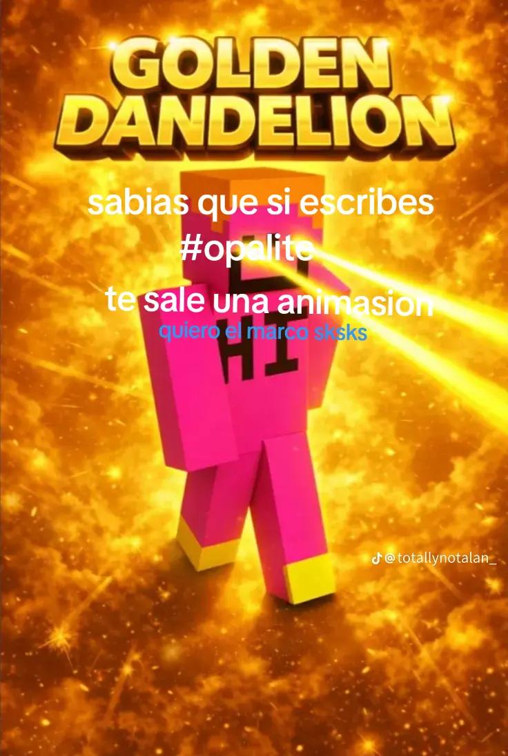 @sebavlogs