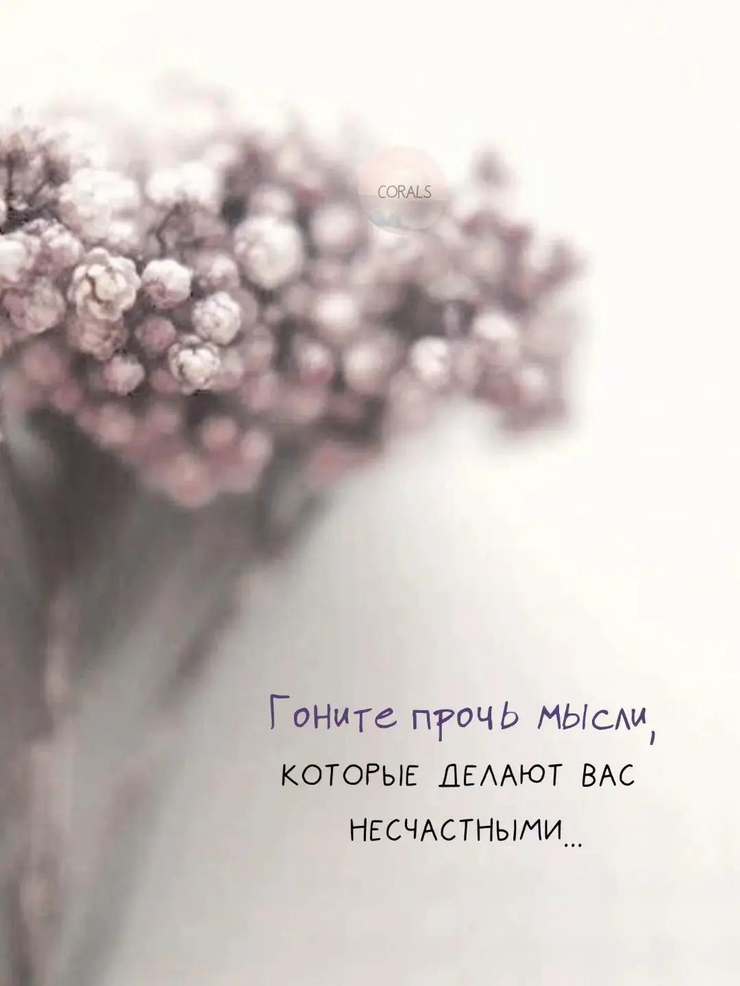 @🇰🇿miram