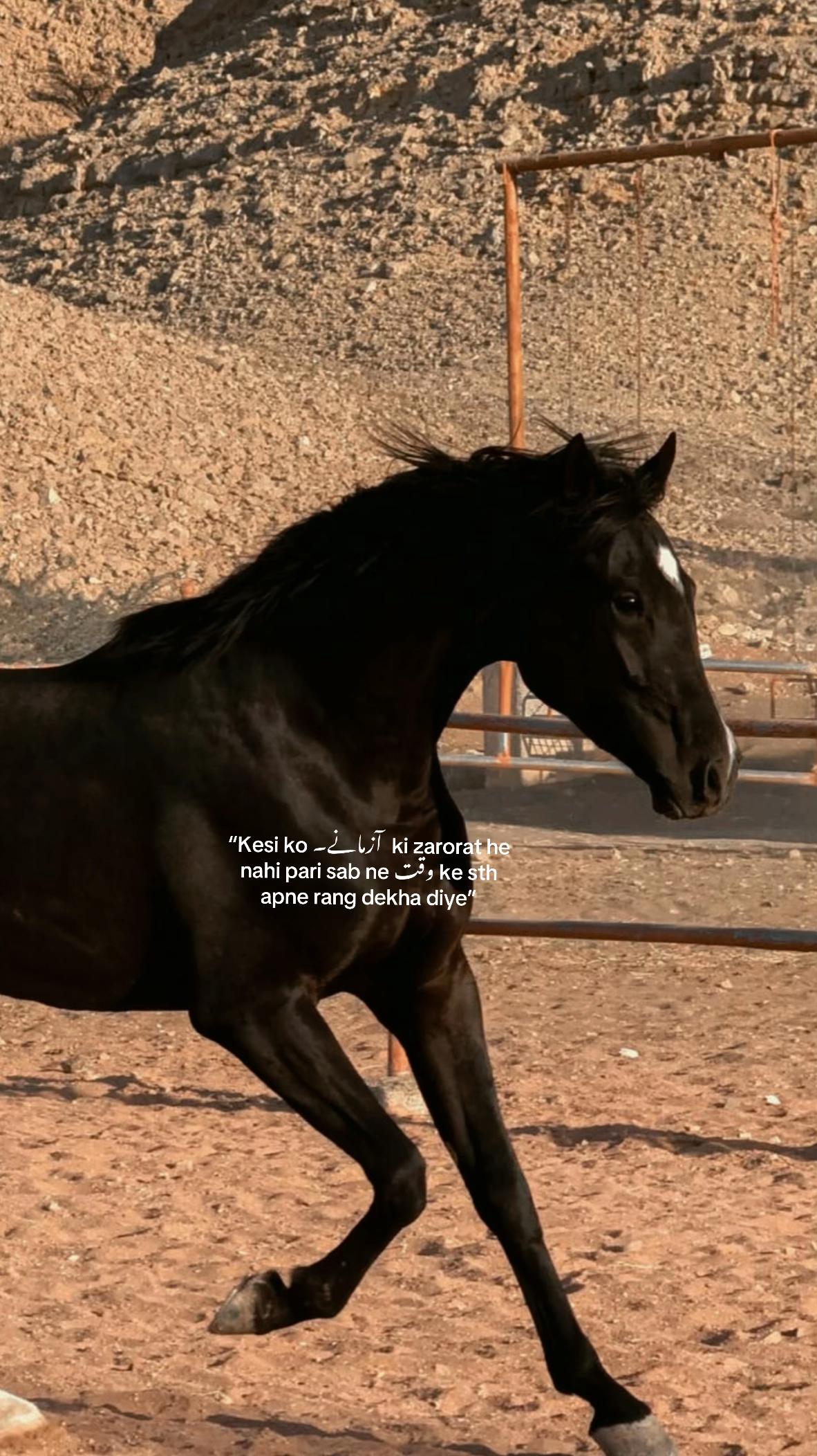 @۵ب🚩۰