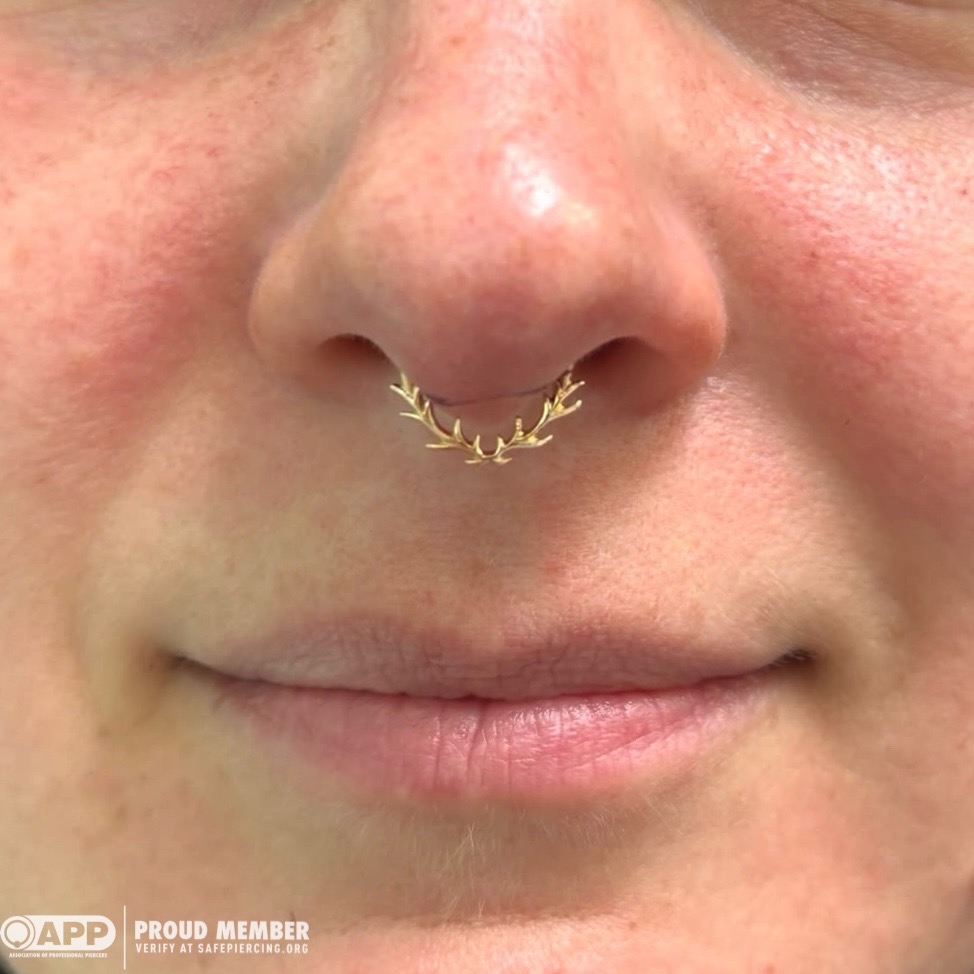 @Velvet Elvis Piercing
