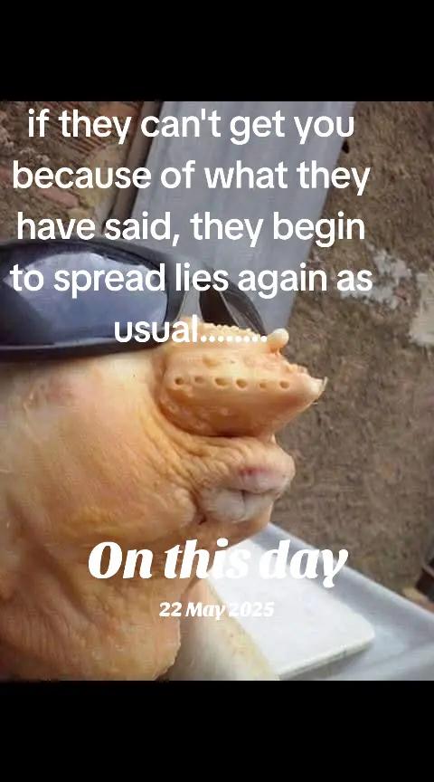 @PROMISELAND 🇳🇬🇬🇧🇺🇲