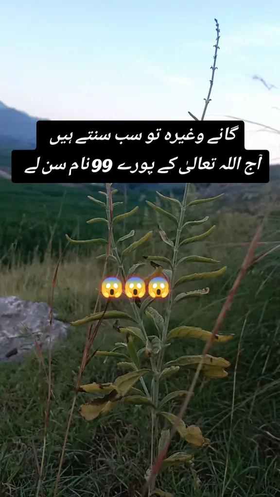 @✨Zahir_khan✨