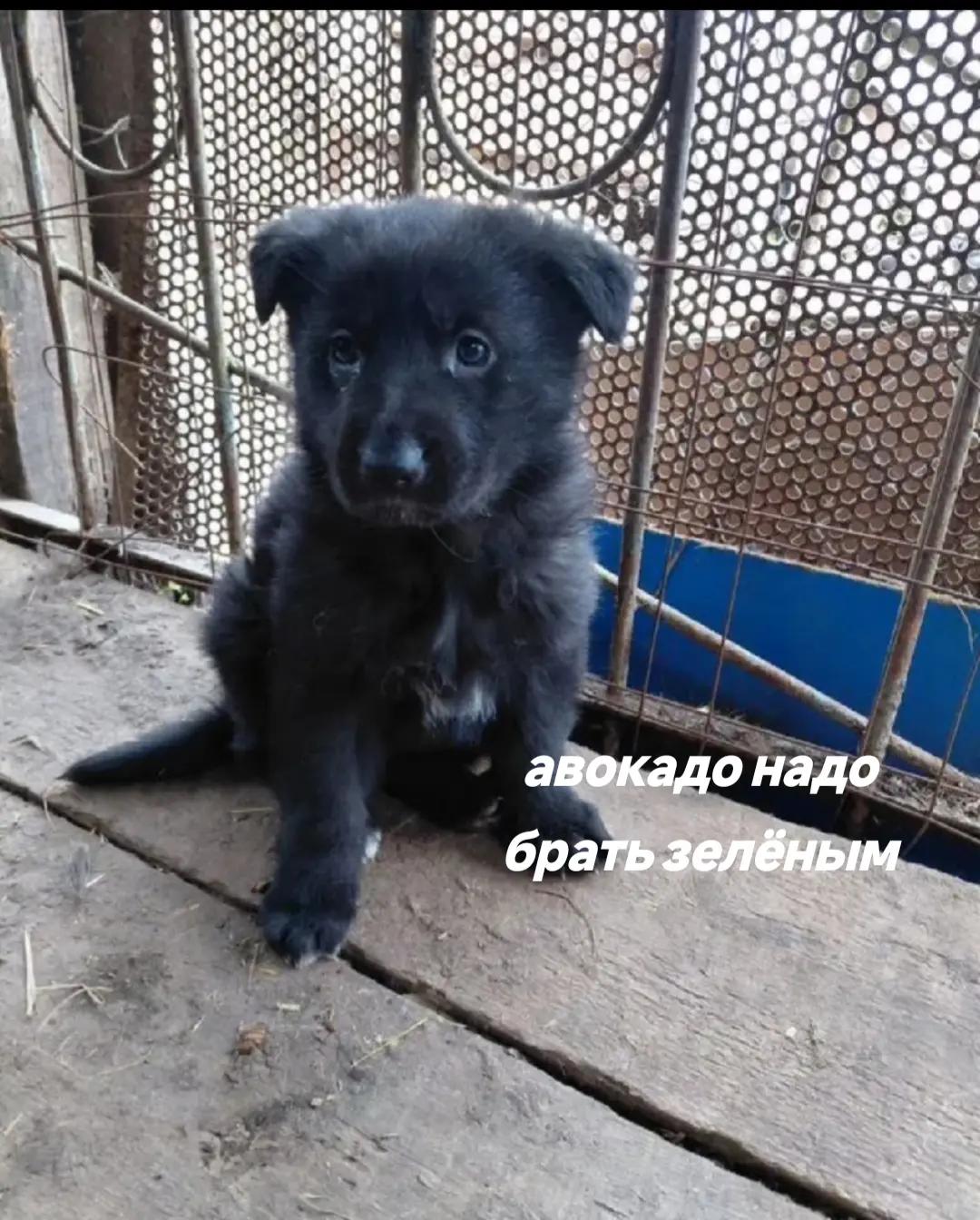 @𝐊𝐢𝐬𝐚𝐑𝐞𝐛𝐞𝐥★