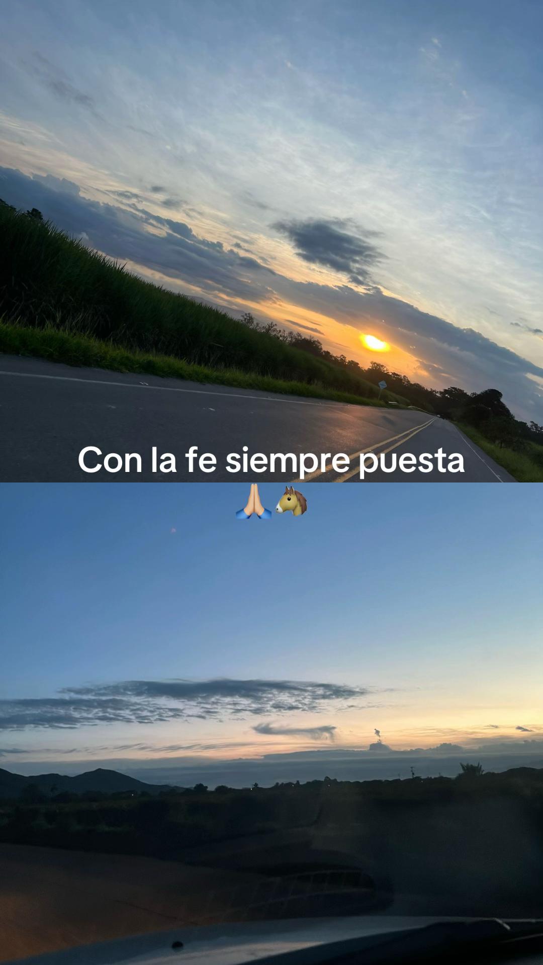 @nicoandrade