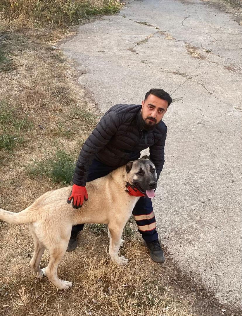 @Sadık Makascı