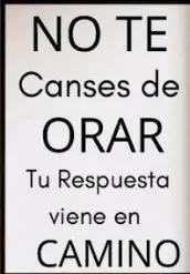 @nislo el bendecido