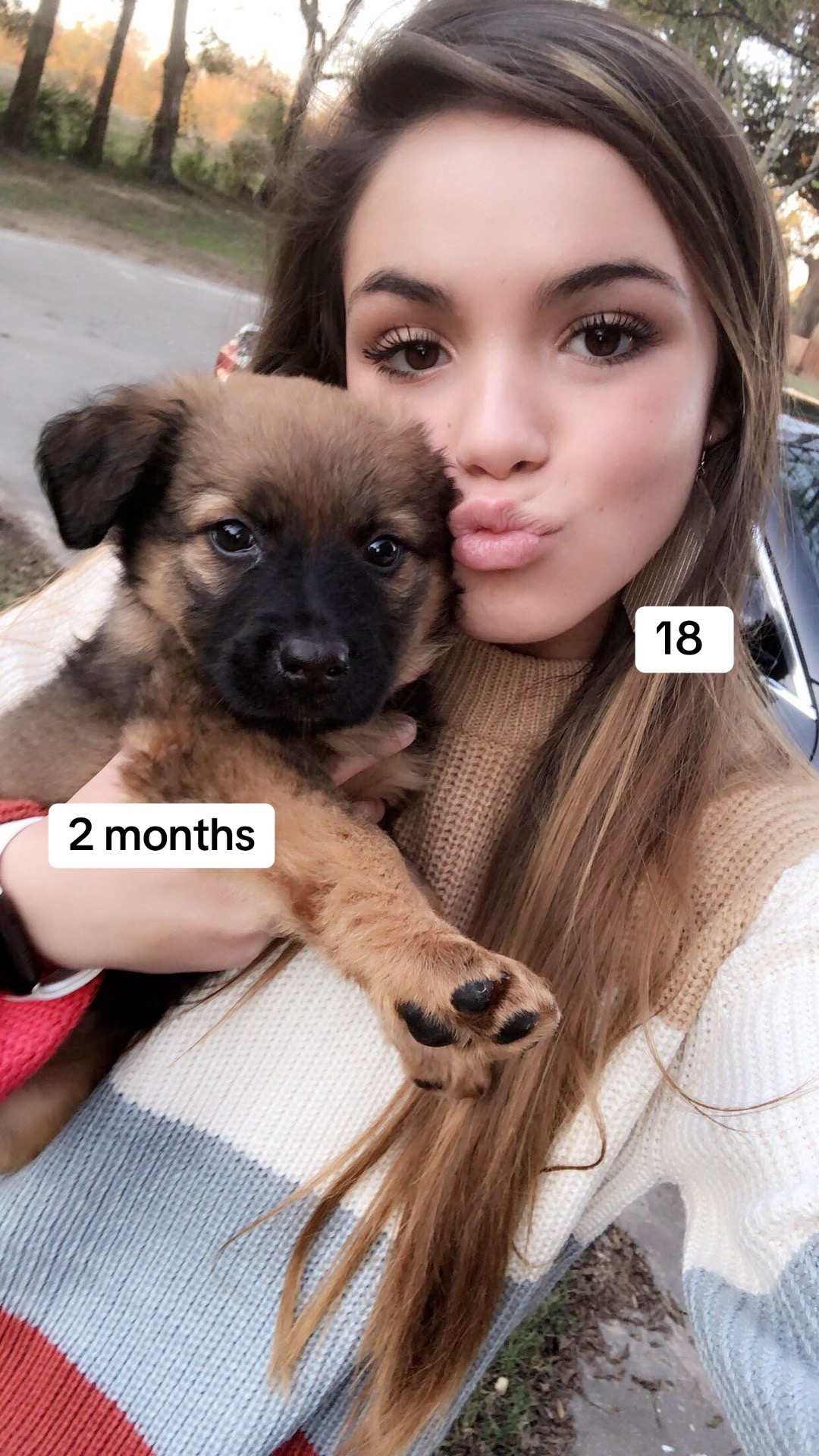 @Saraaeee