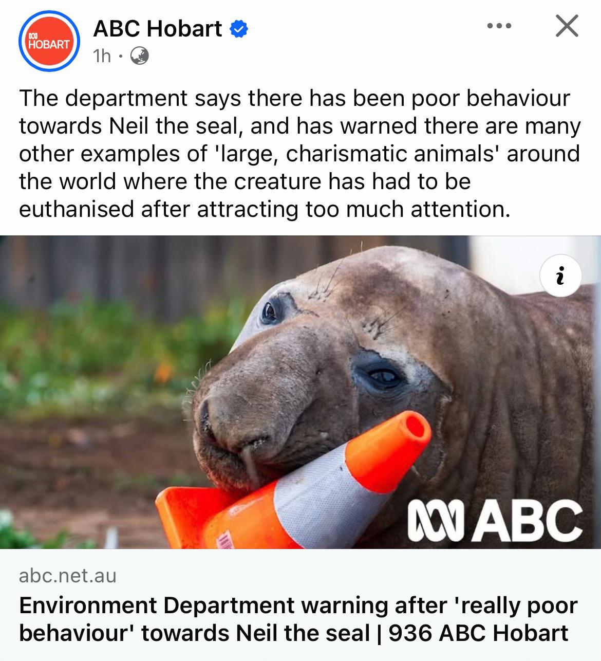 @Neil the Seal 🦭