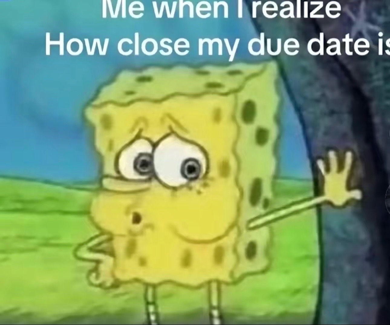 @•𝒦𝒶𝓃 🩷🧸