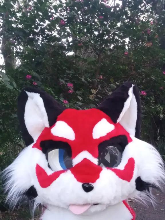 @DYN WOLF