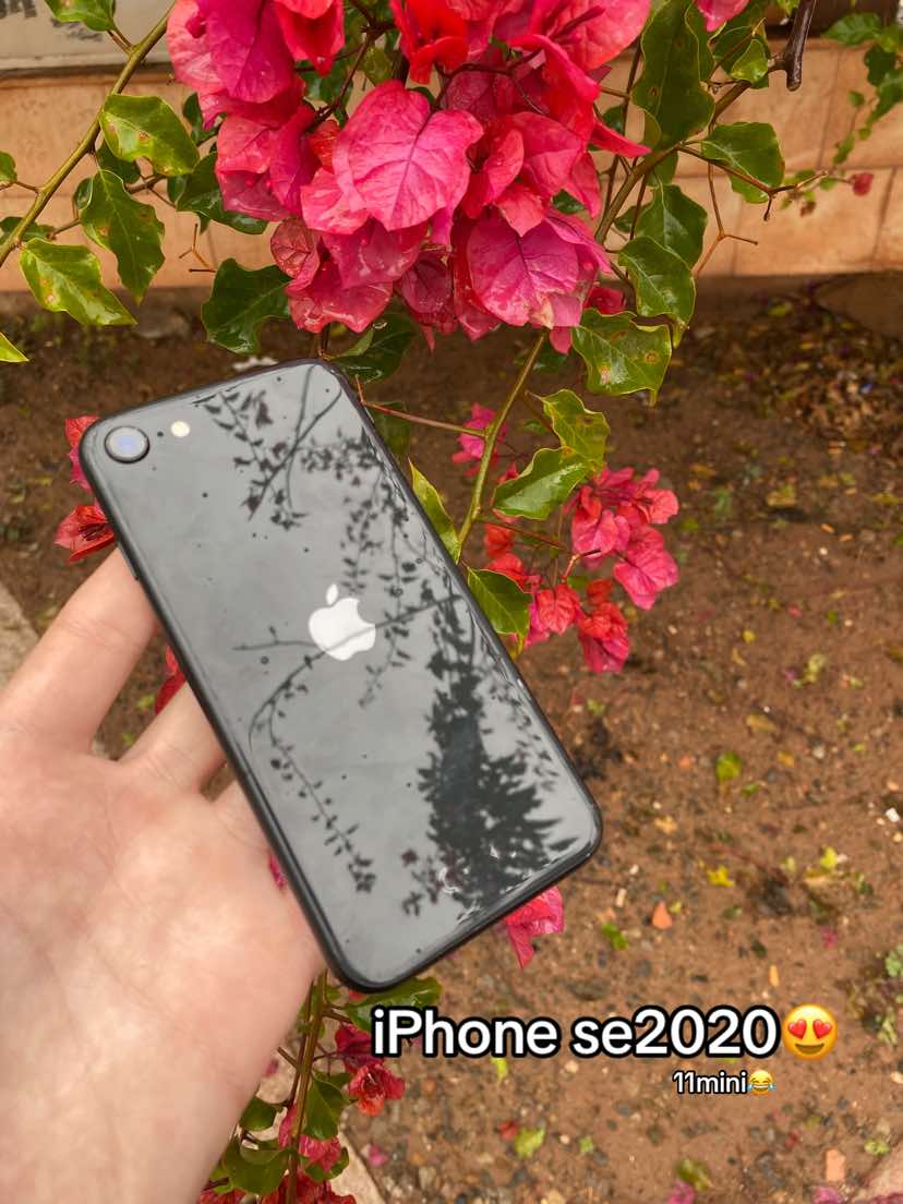 @moha.apple