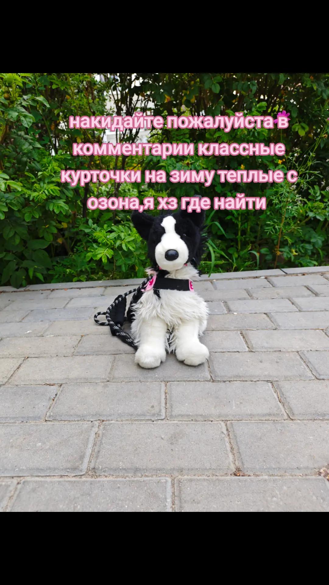 @🍦АБРИКОС🌫️[PDB] [ESSA]
